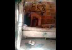 flagra de sexo no barraco