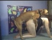 Cão metendo na loirinha fogosa de quatro