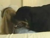 Loira trepando gostoso com seu cão no cio